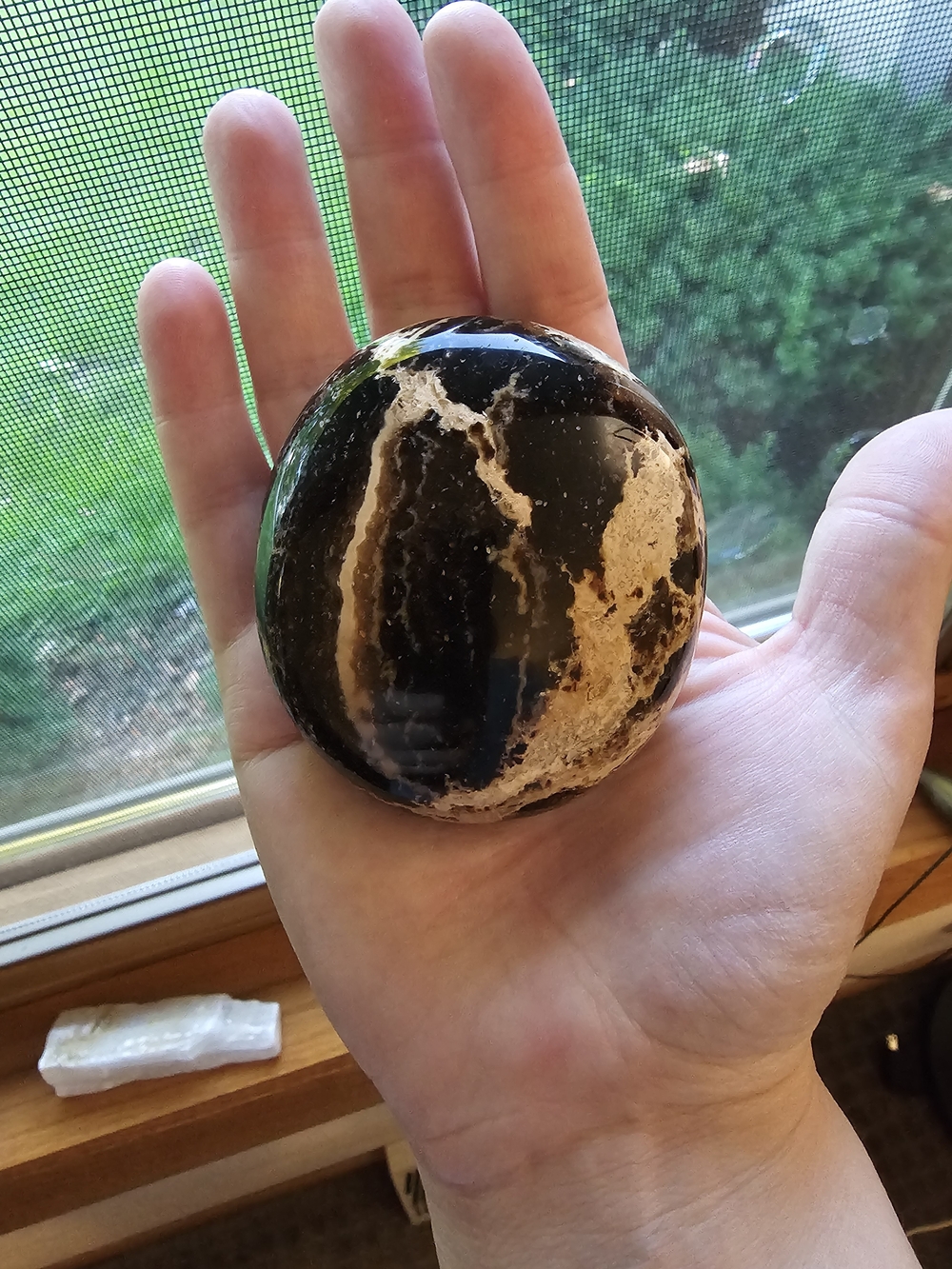 Black Opal Palmstone